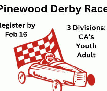 Pinewood Derby Race