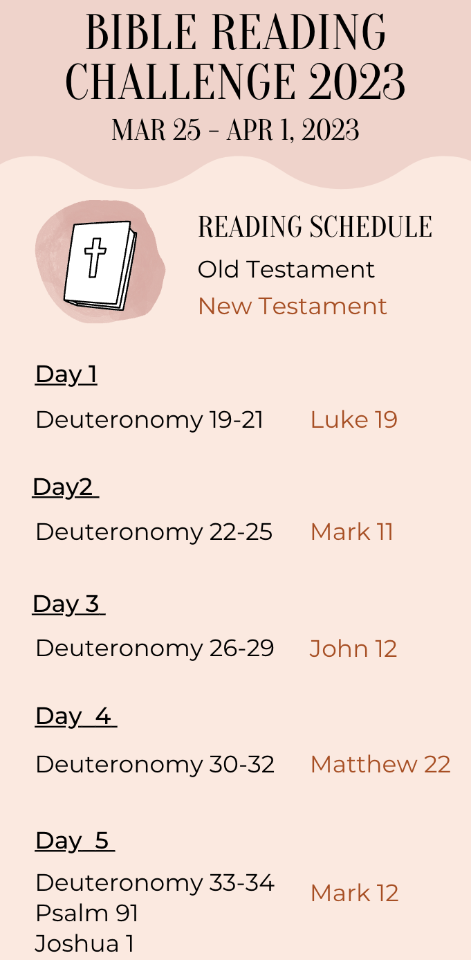 Week 13 Bible Readings